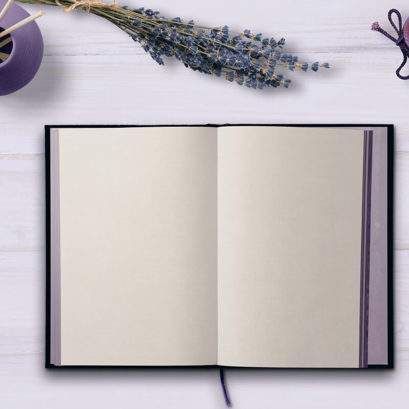 My Season – By Nikki Seriki